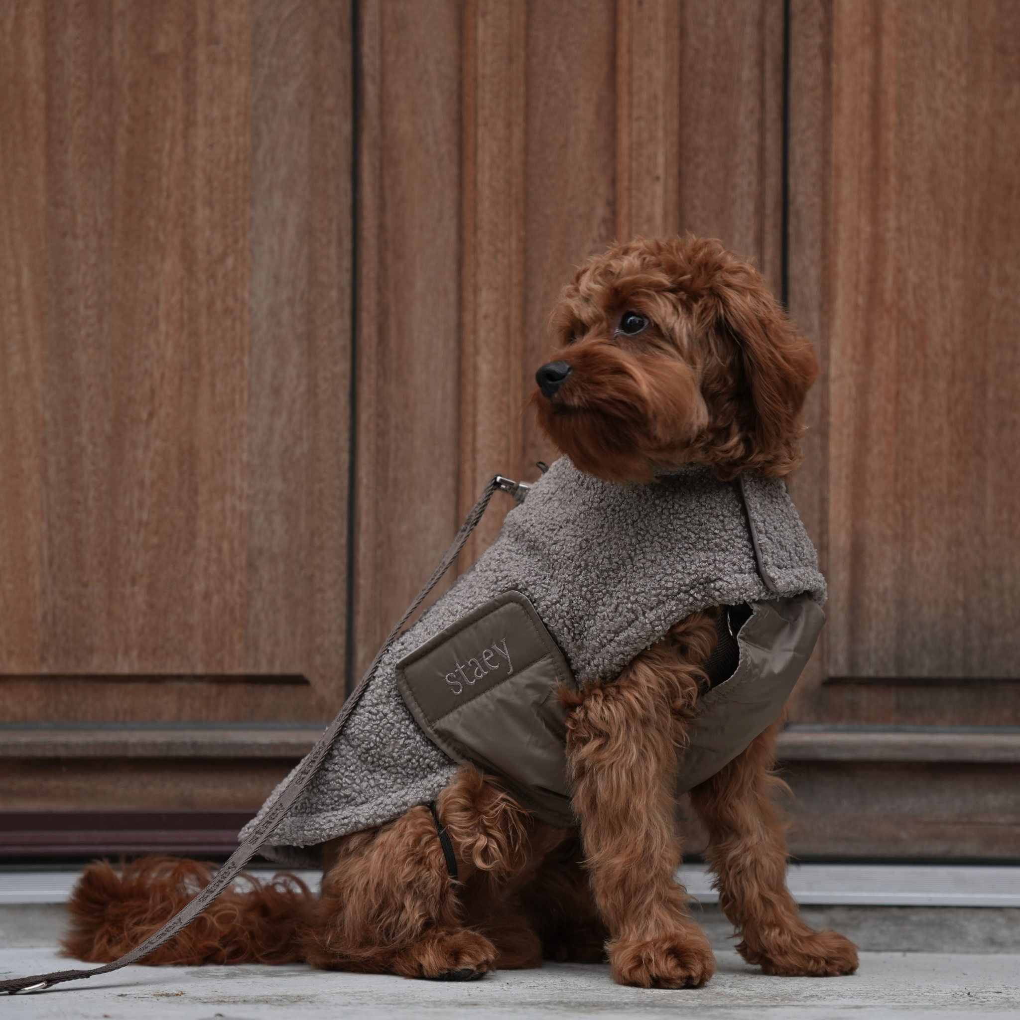 Teddy Hundefrakke | Taupe 