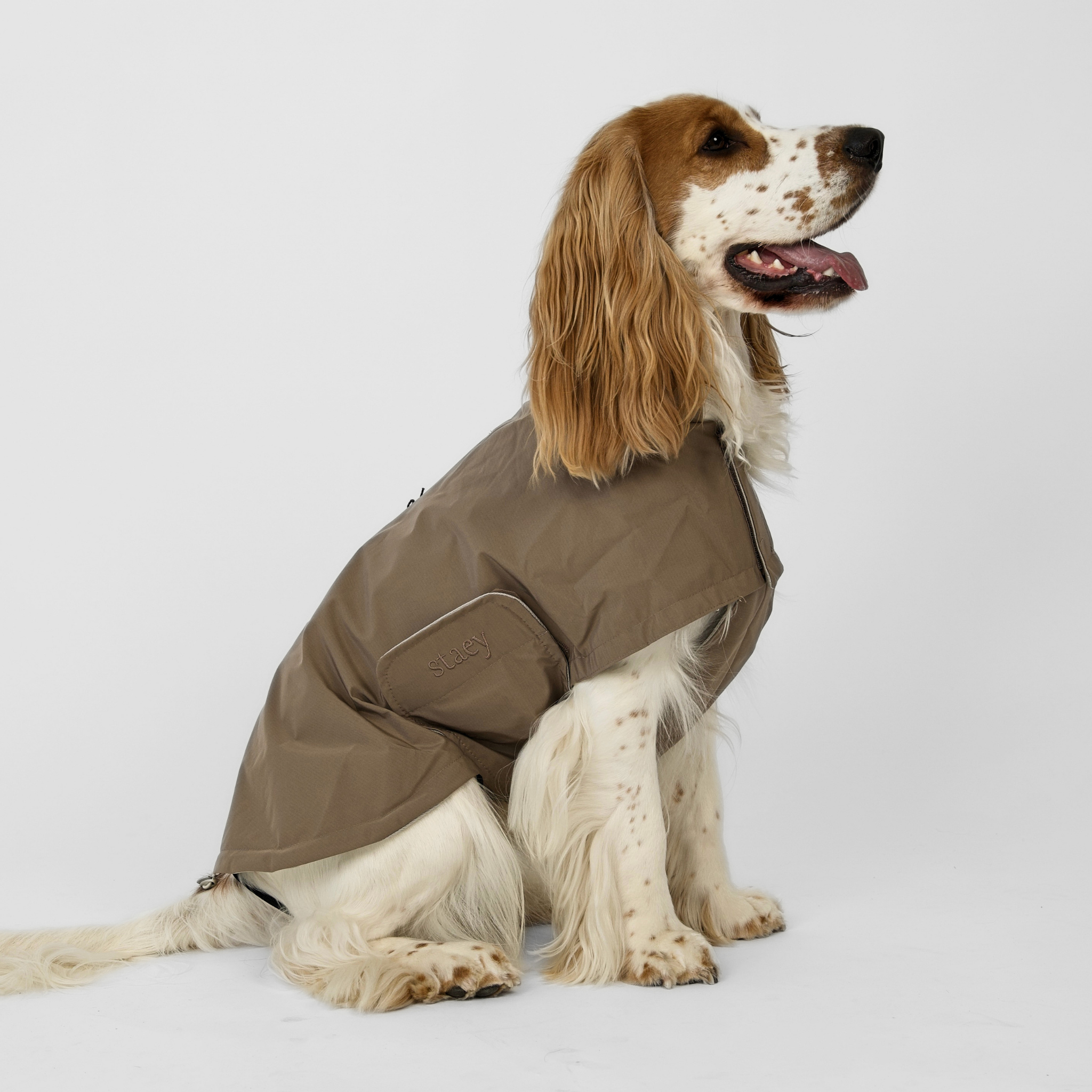 Taja Dog Rain Coat | Taupe