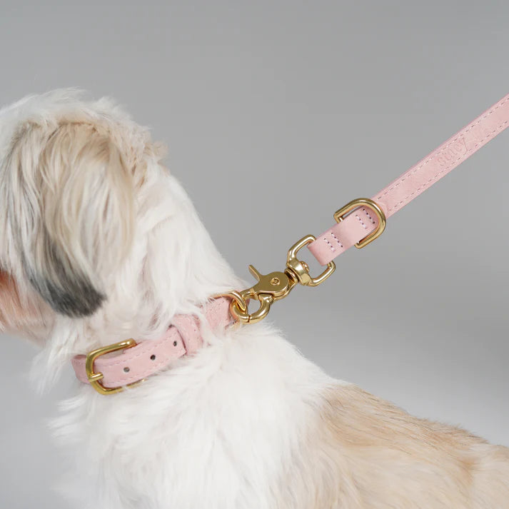 Grace læderhundehalsbånd | Dusty Rose
