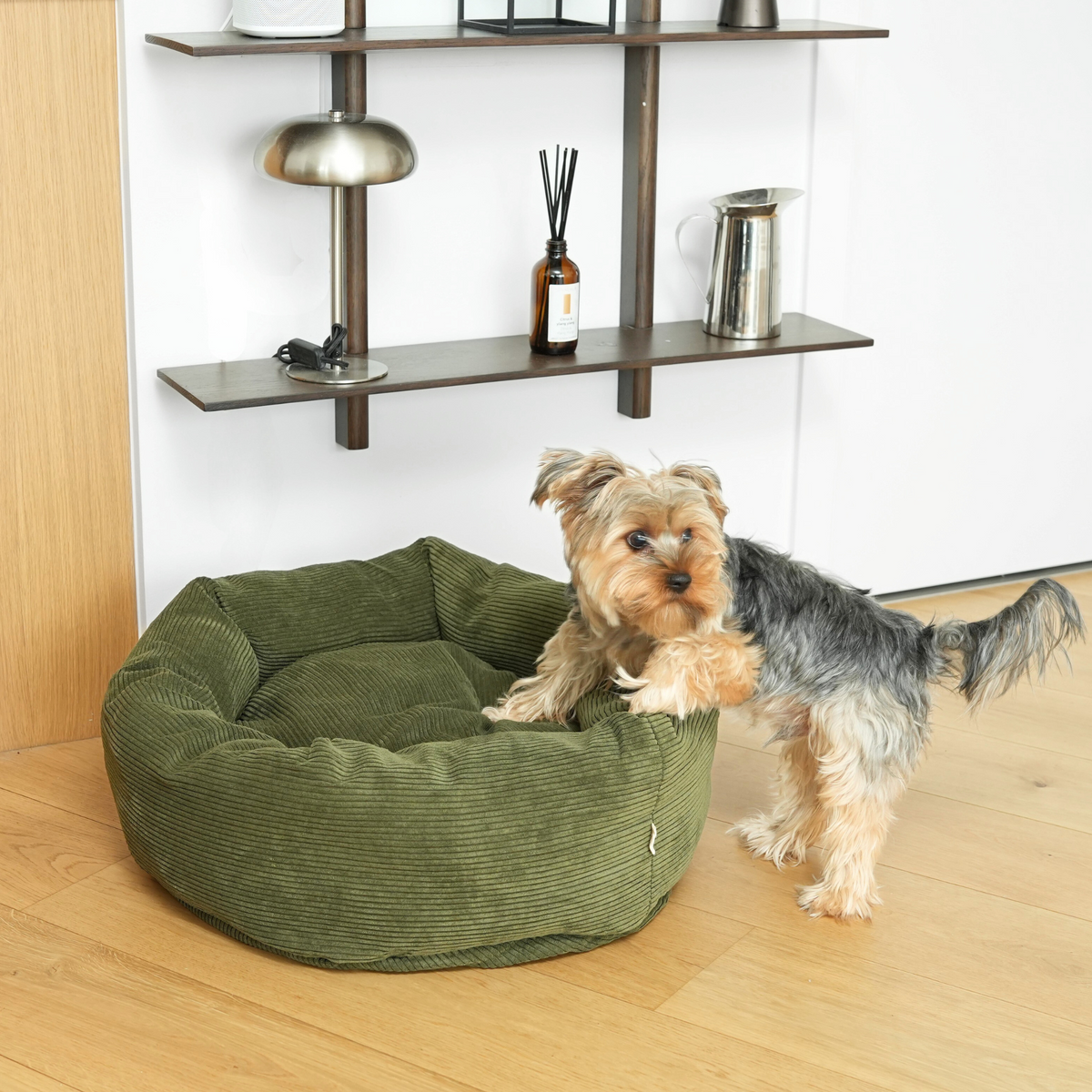 Yorkshire terrier standing beside the moss green corduroy dog bed