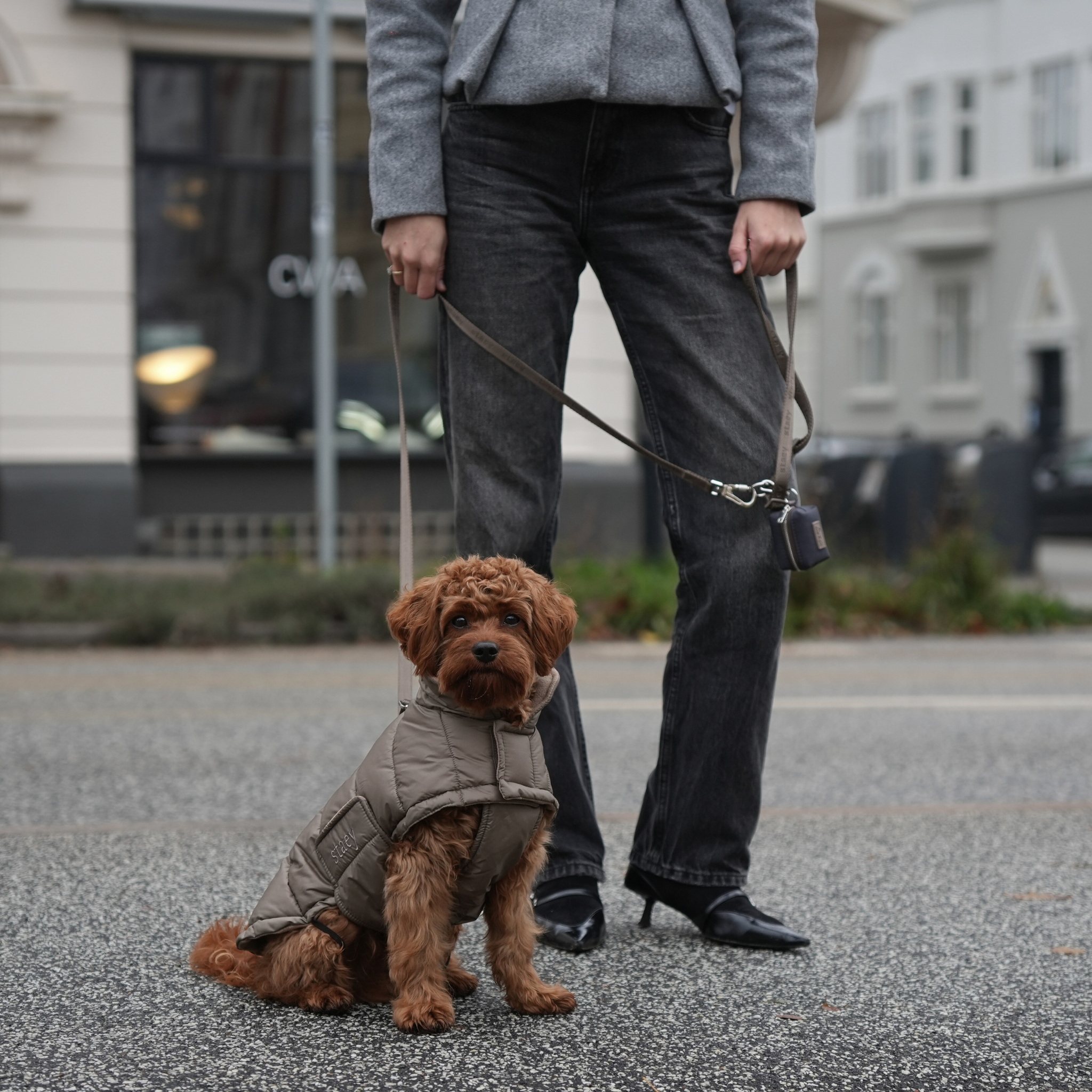 Nora Dog Coat | Taupe