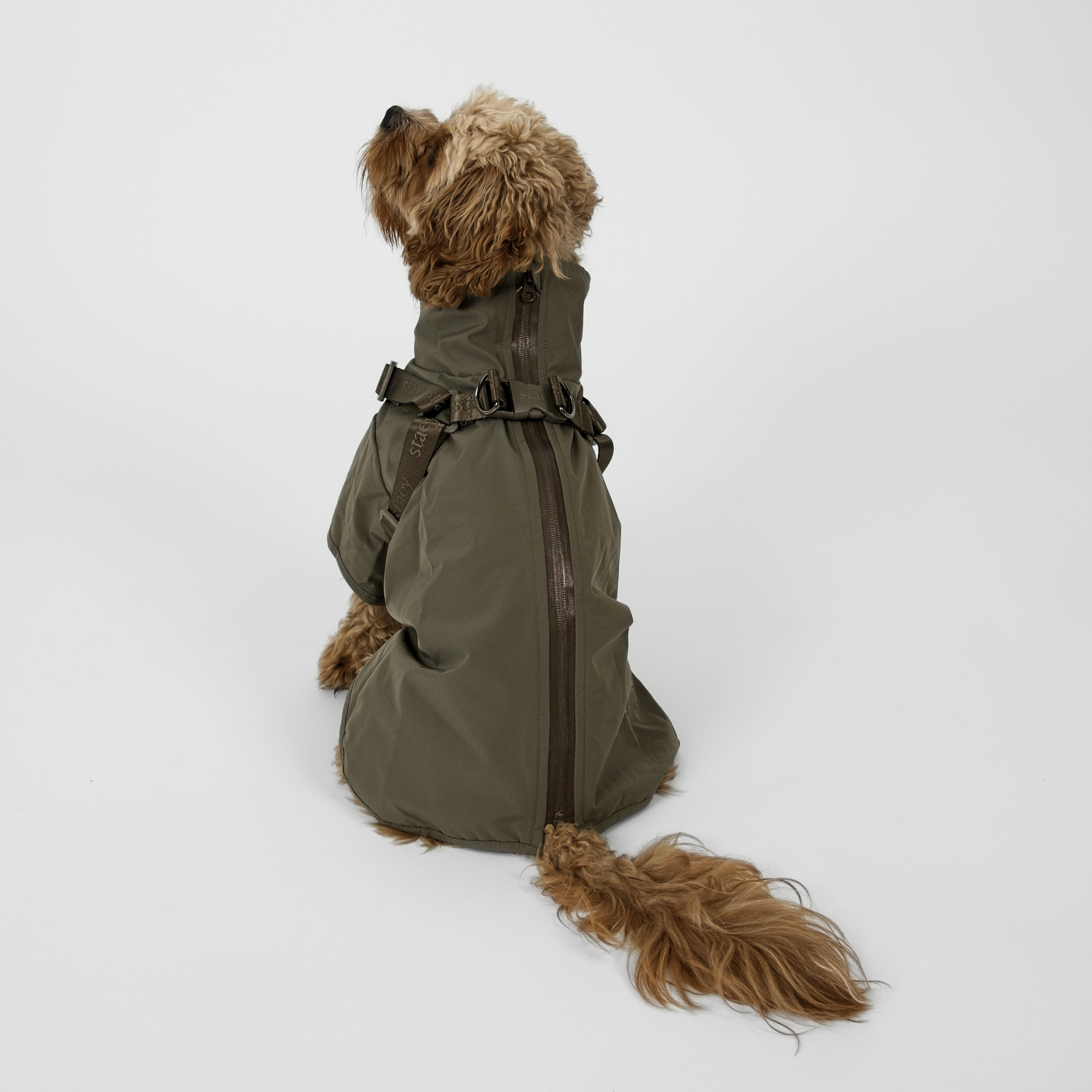 Leva Dog Rain Coat w. Harness | Moss Green