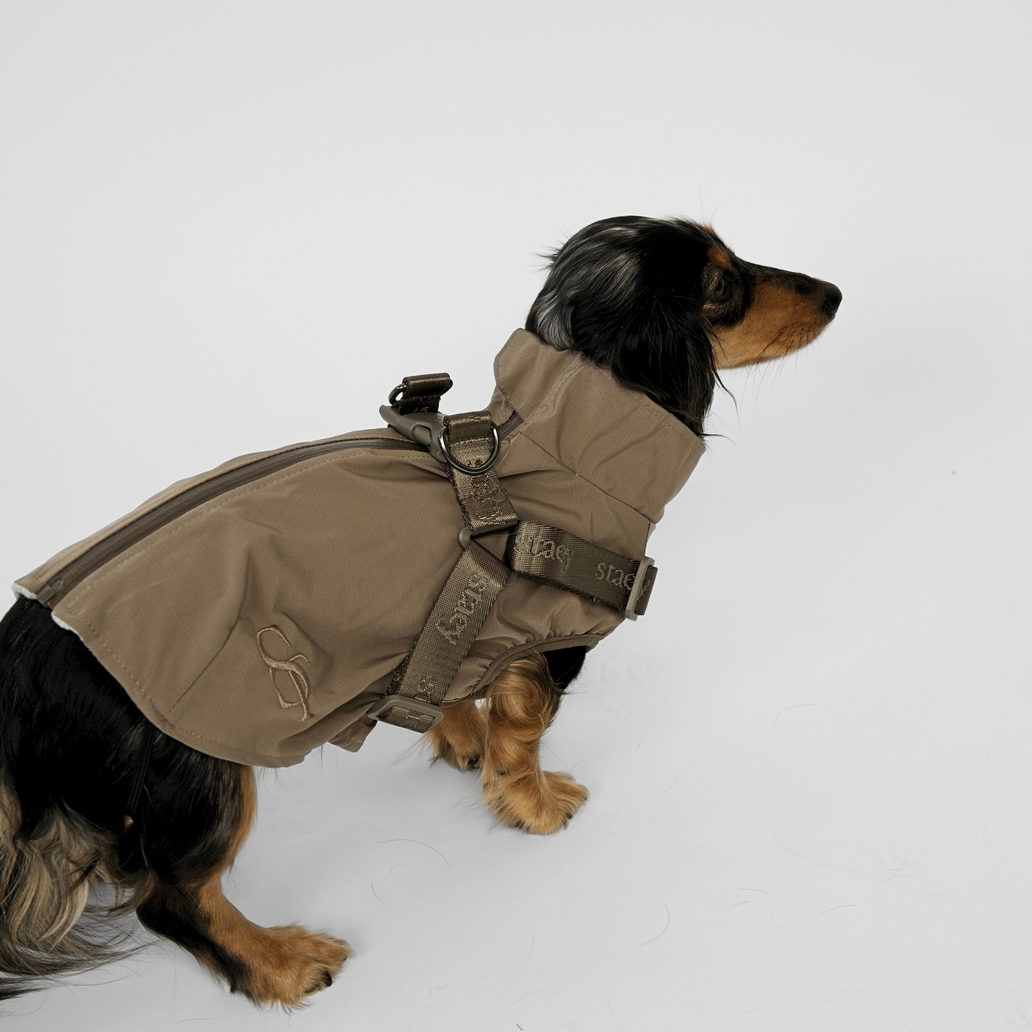Norma Dog Rain Coat w. Harness | Taupe
