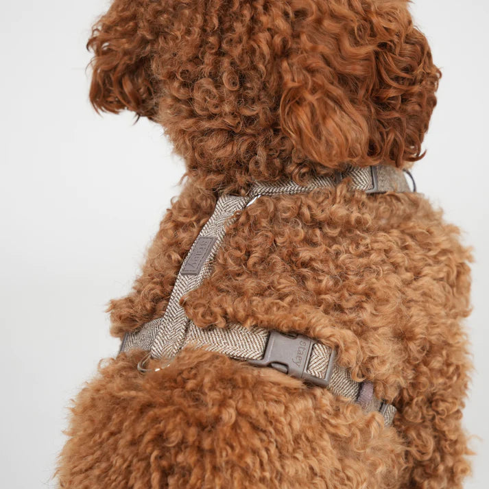 Tara H-Strap Hundesele | Mocca