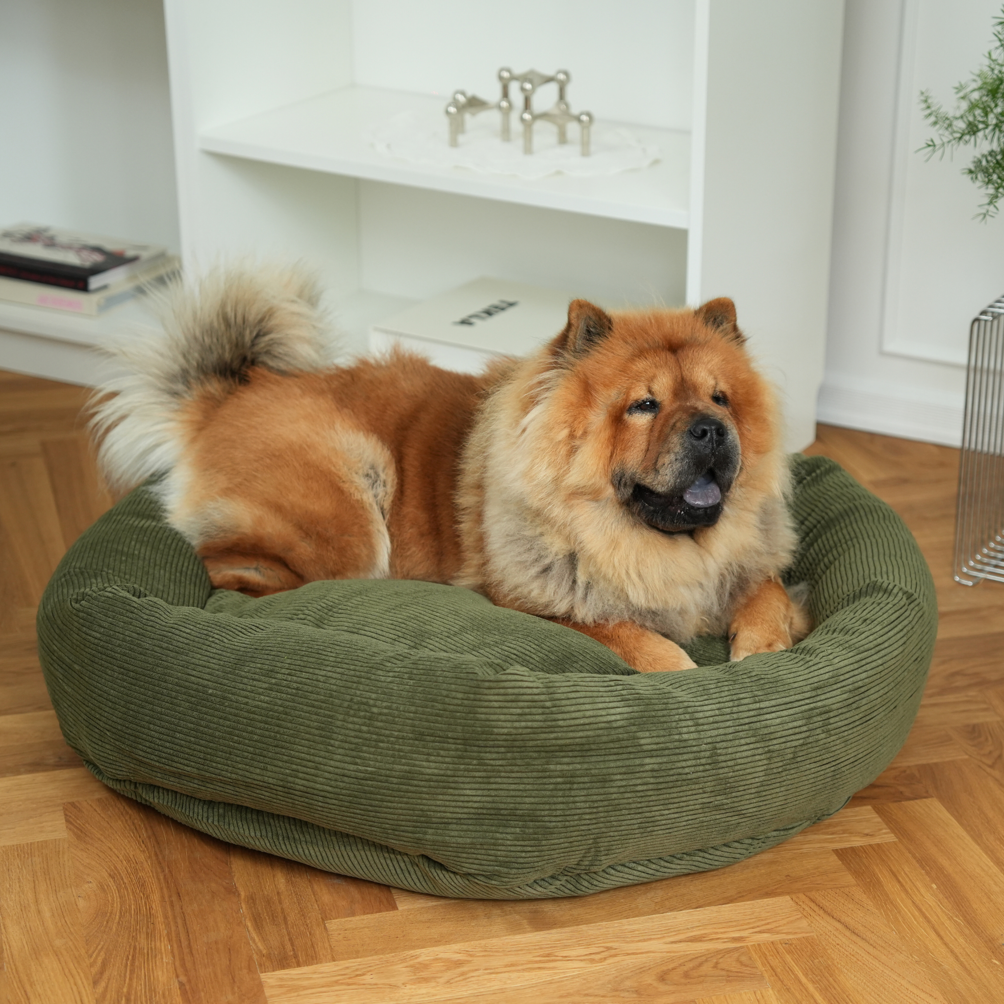Luna Hundeseng 3.0 | Moss Green Corduroy 