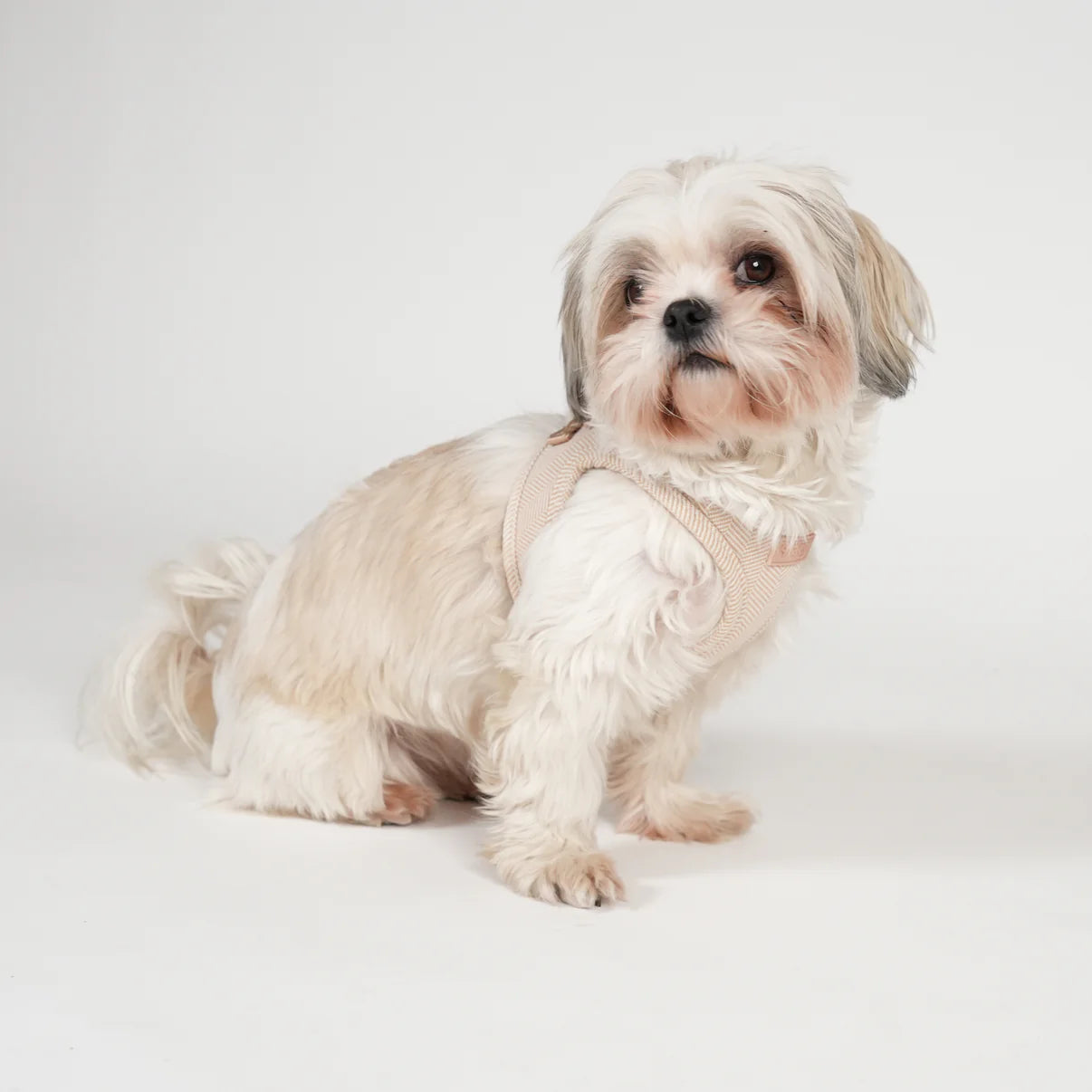Saga Step-in Hundesele | Light Rose