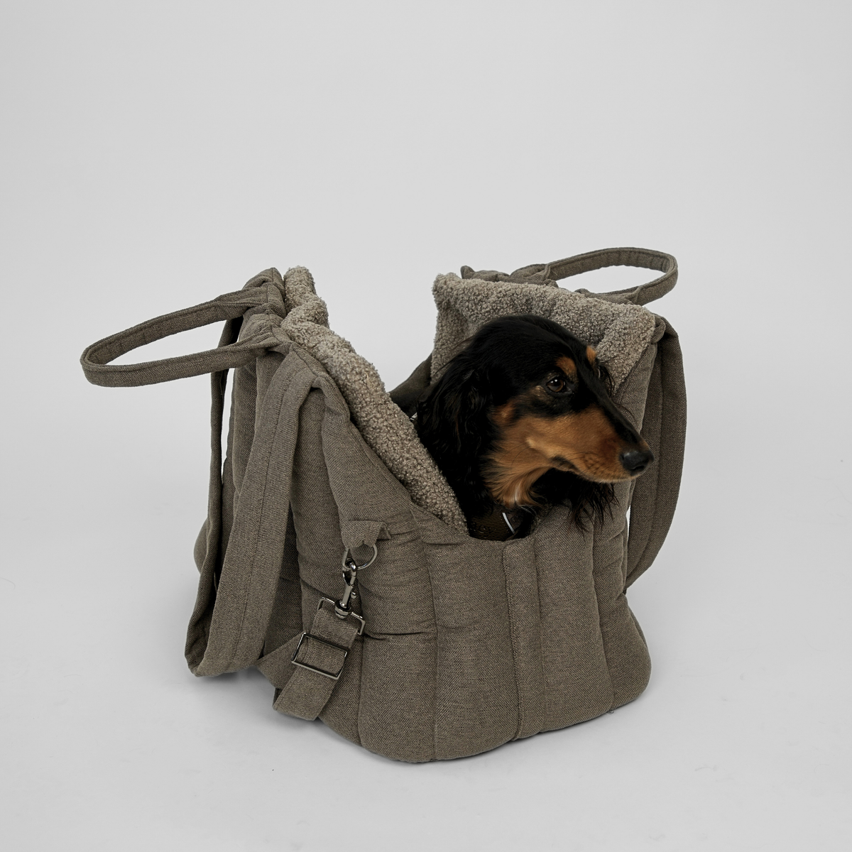 Langhåret gravhund, der ligger i den olivengrønne hundetaske til hunde