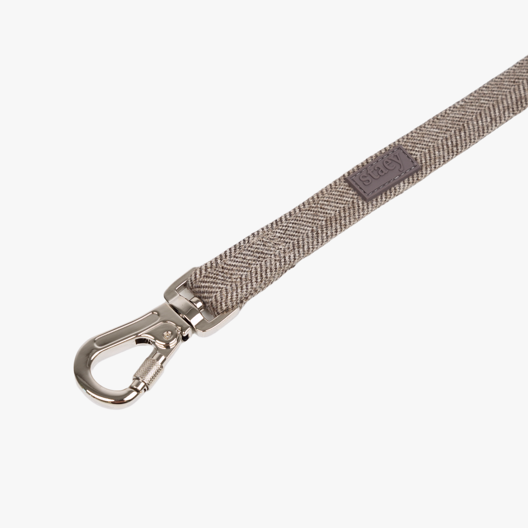 The steel snap hook and webbing on the mocca Elma leash, seen up close