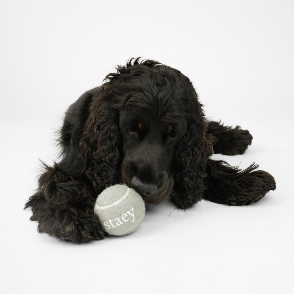 Squeaker ball | 2-pack